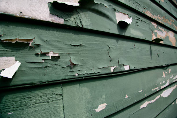 Best Custom Trim and Detailing for Siding  in Orcutt, CA