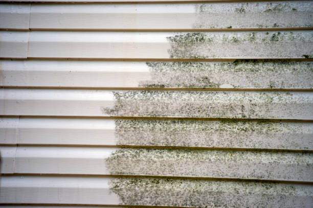 Best Fascia and Soffit Installation  in Orcutt, CA