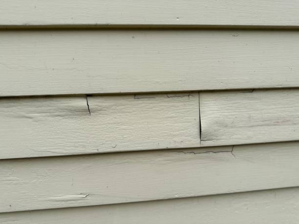 Best Siding for New Construction  in Orcutt, CA